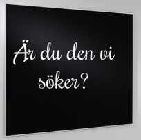 Skärmavbild 2015-05-12 kl. 21.57.58