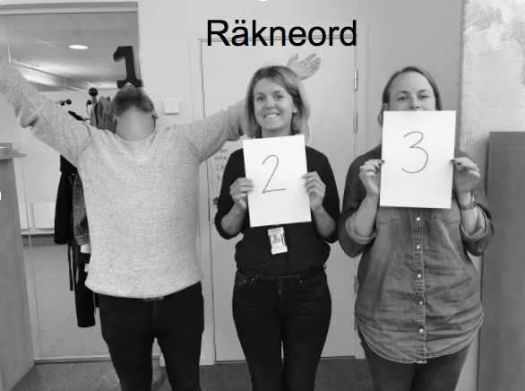 Skärmavbild 2017-09-01 kl. 14.23.51